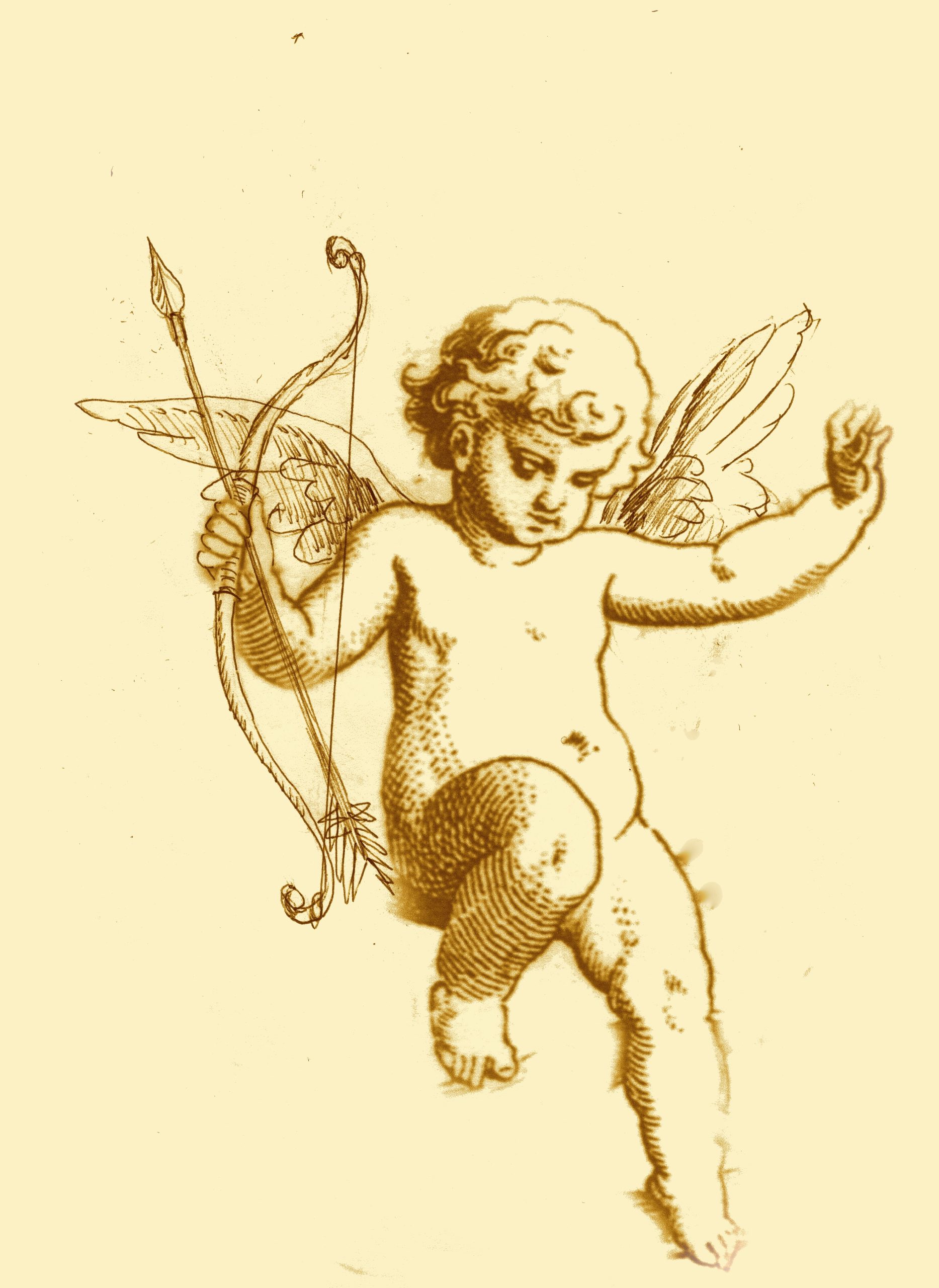 IL SALOTTO DI CUPIDO